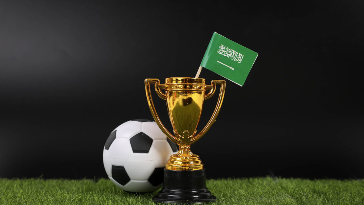 McGill International Review — Article 3